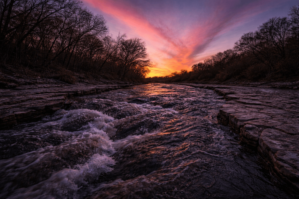 The Land of the&nbsp;Living